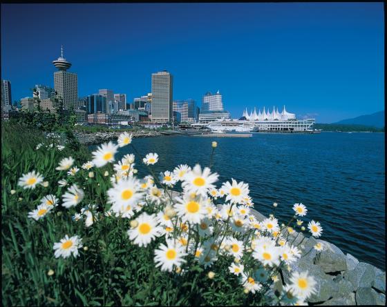 Working Holiday in Canada